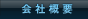 ЊTv